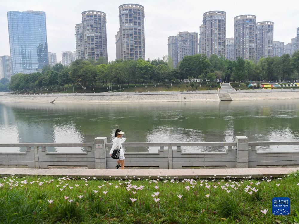 网络扎金花下载